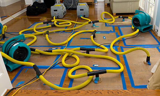 Professional Flood Damage Restoration technician working in Weymouth, MA